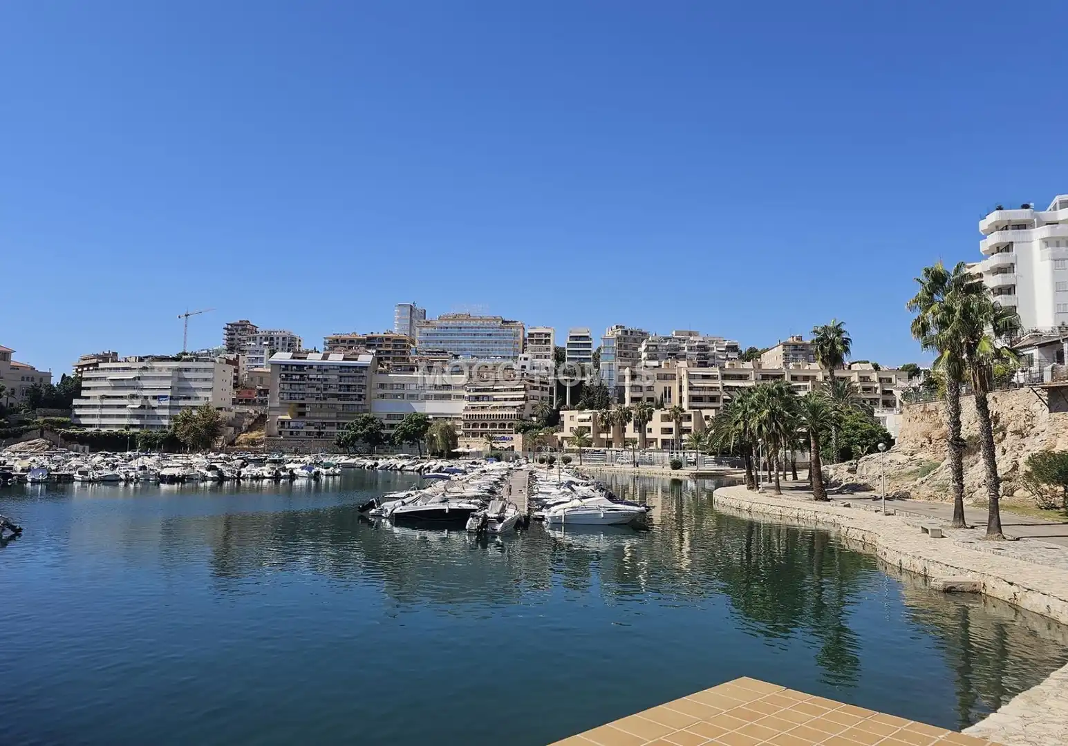 Pis de 187 m² a Palma