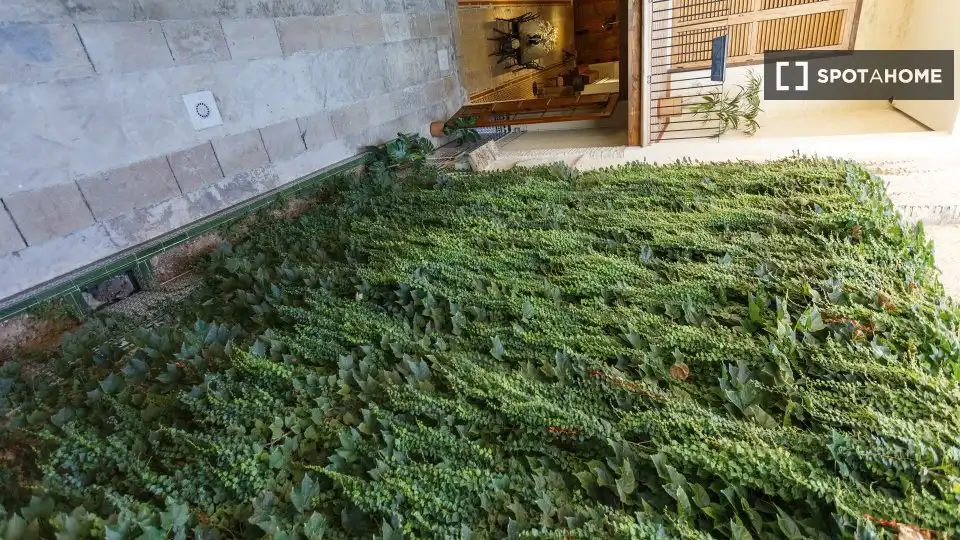 Habitació de lloguer, Cullera