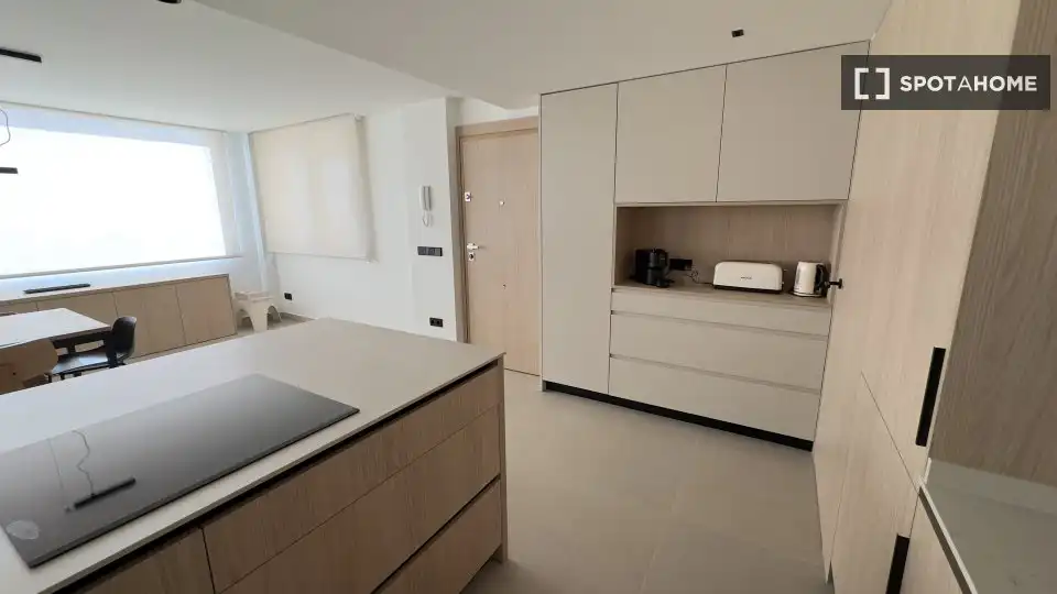 Habitación 173 m², Alicante