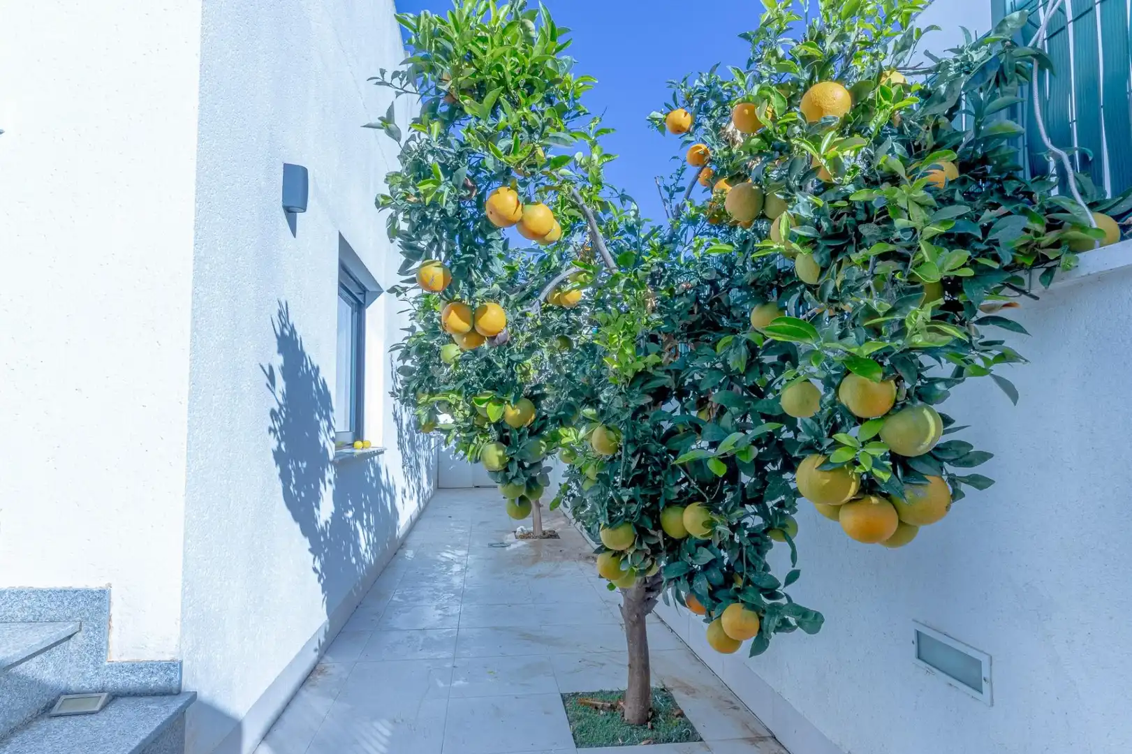 Casa de 105 m² a San Javier