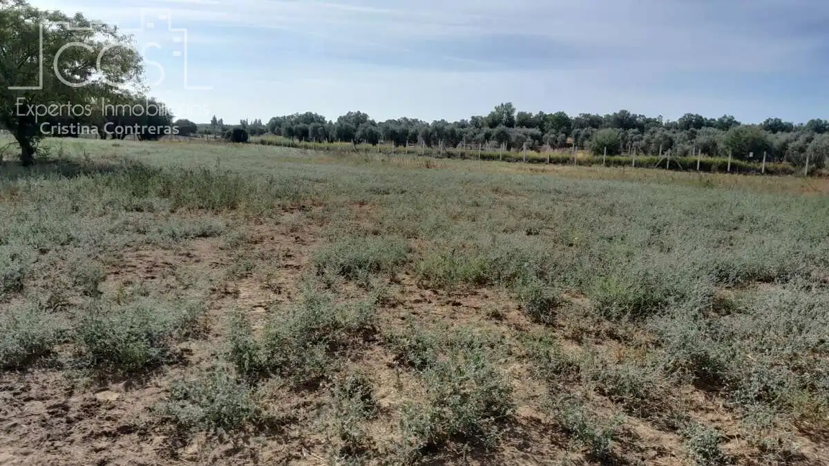 Casa de 100 m² en Almonte