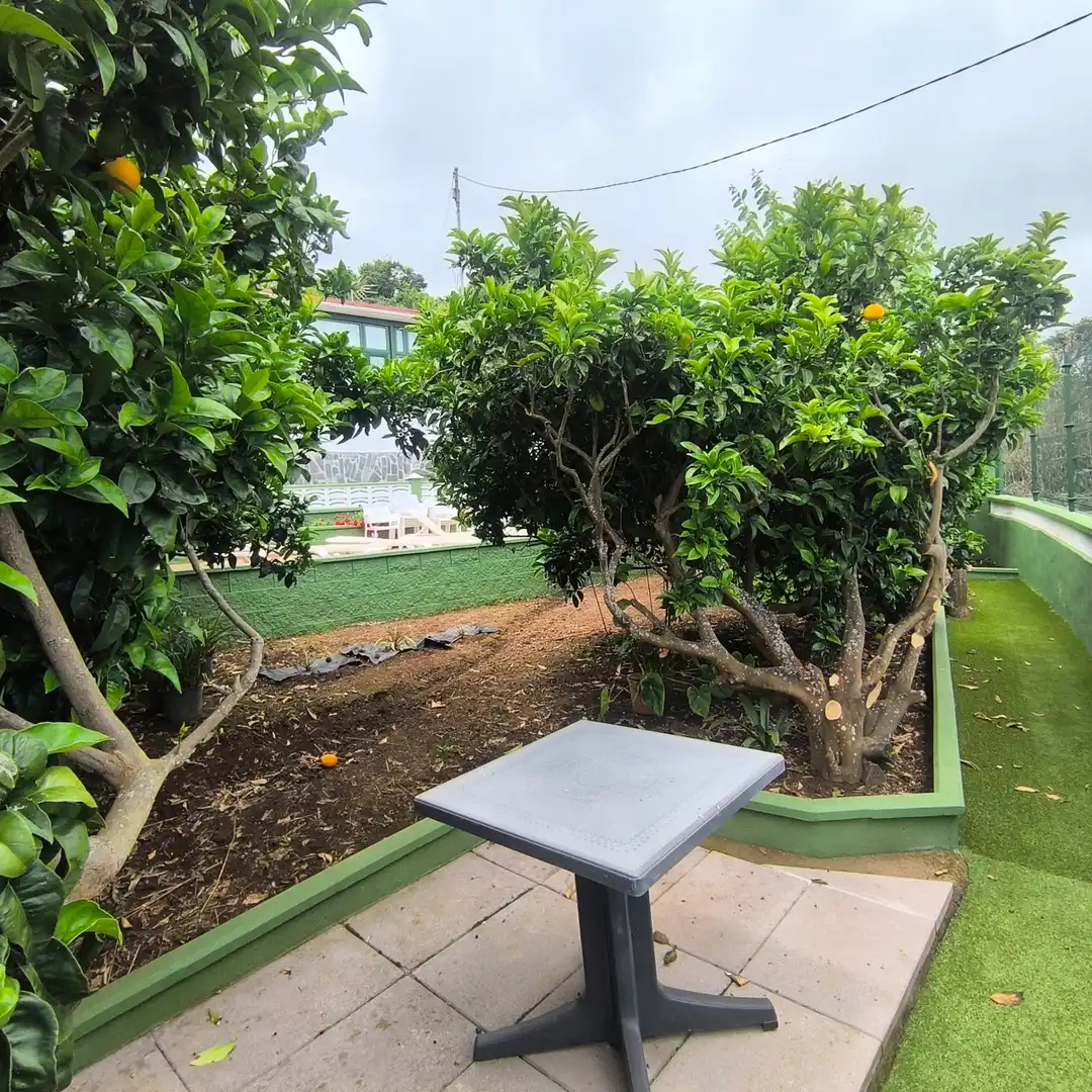 Piso de 50 m² en La Orotava