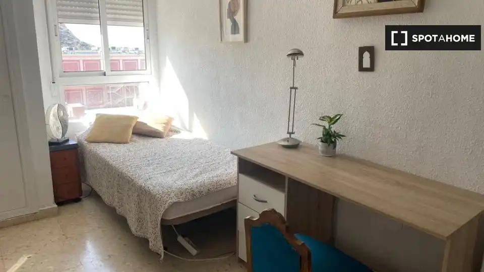 Habitació de lloguer, Alacant