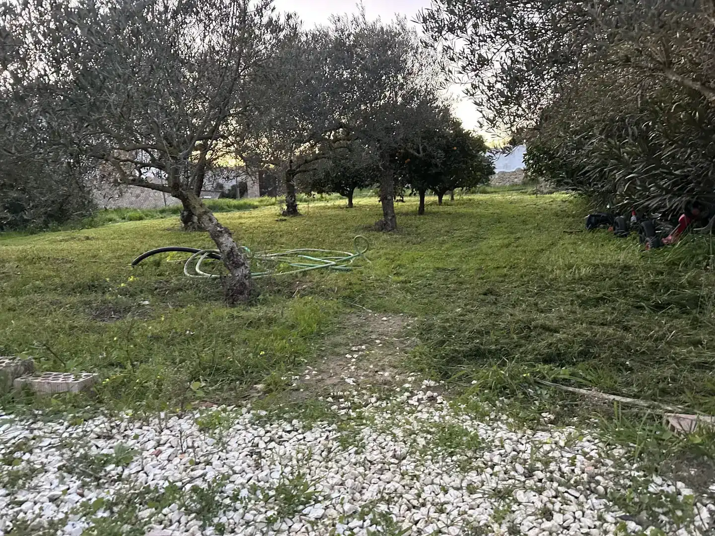 Casa de 160 m² en Medina Sidonia