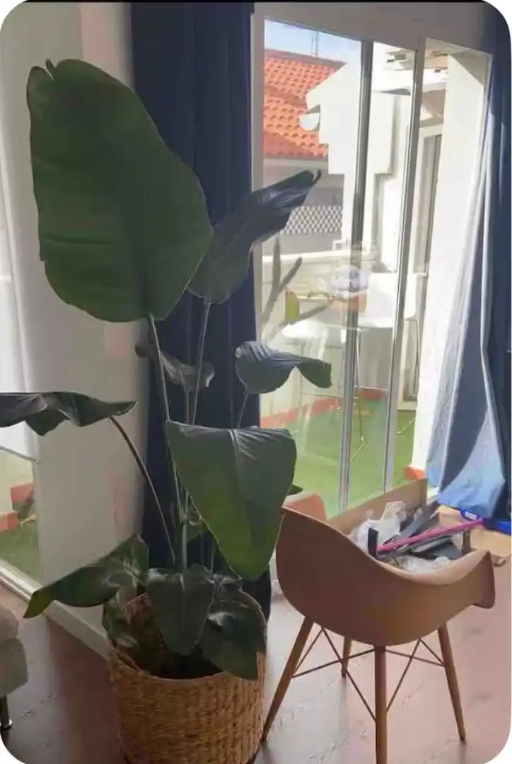Flat 60 m² in Málaga