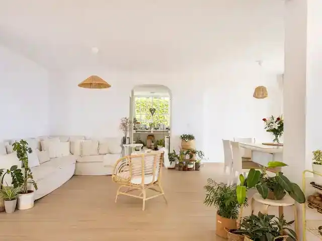 Habitación 30 m², El Sauzal