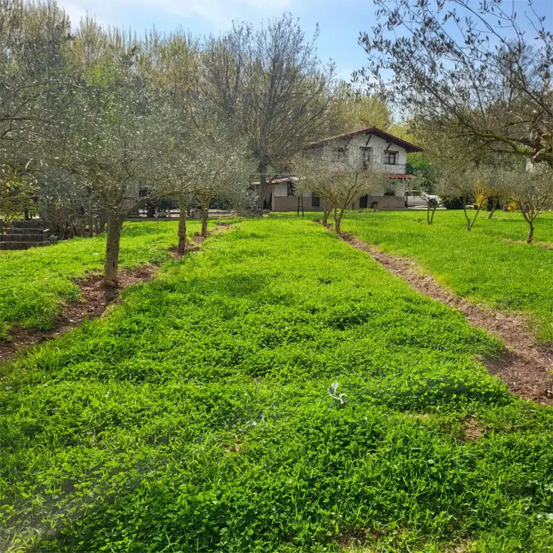 Casa de 200 m² en Hormilleja