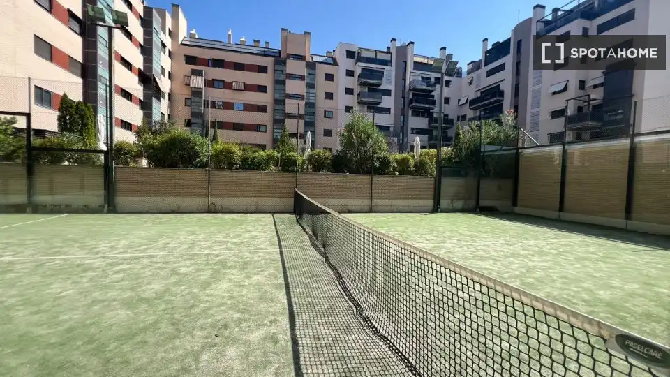 Pis de lloguer, Madrid