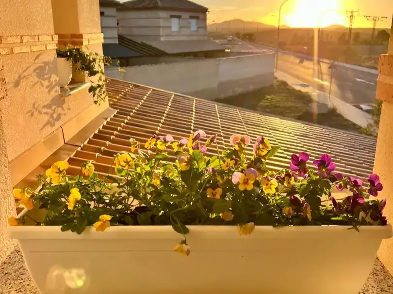 Piso de 160 m² en Argés