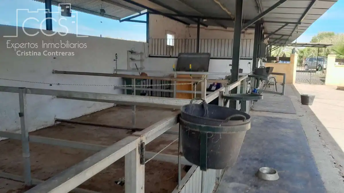 Casa de 100 m² en Almonte