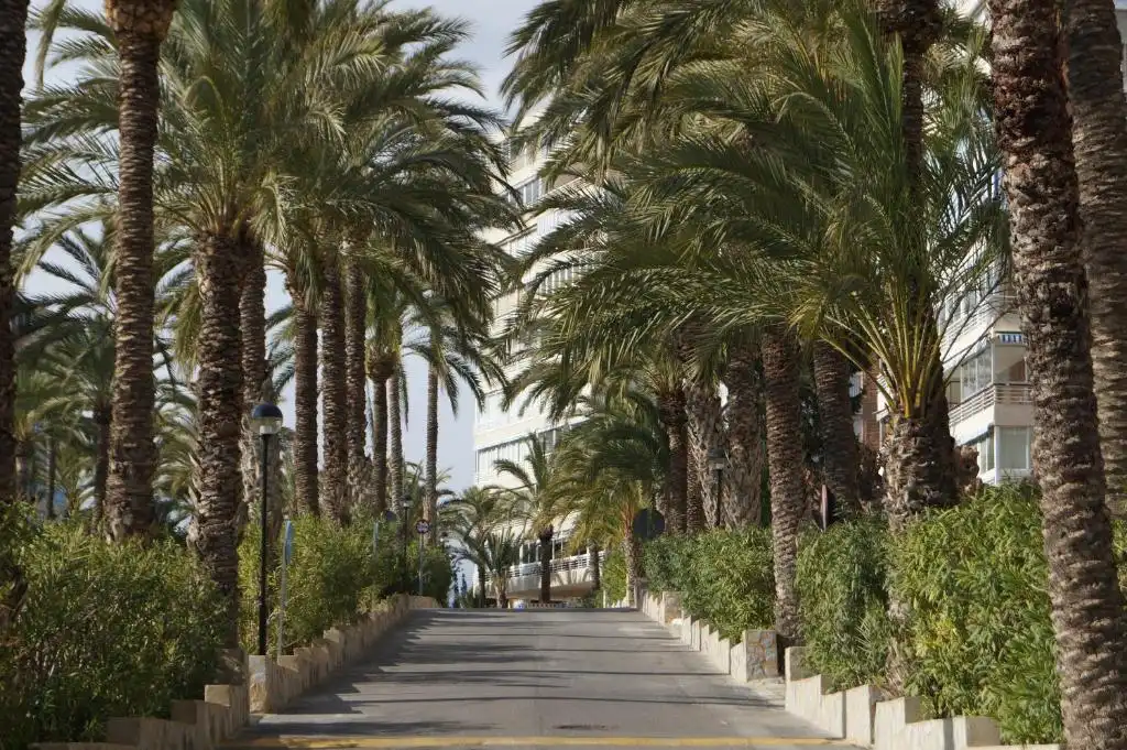Piso de 80 m² en el Campello