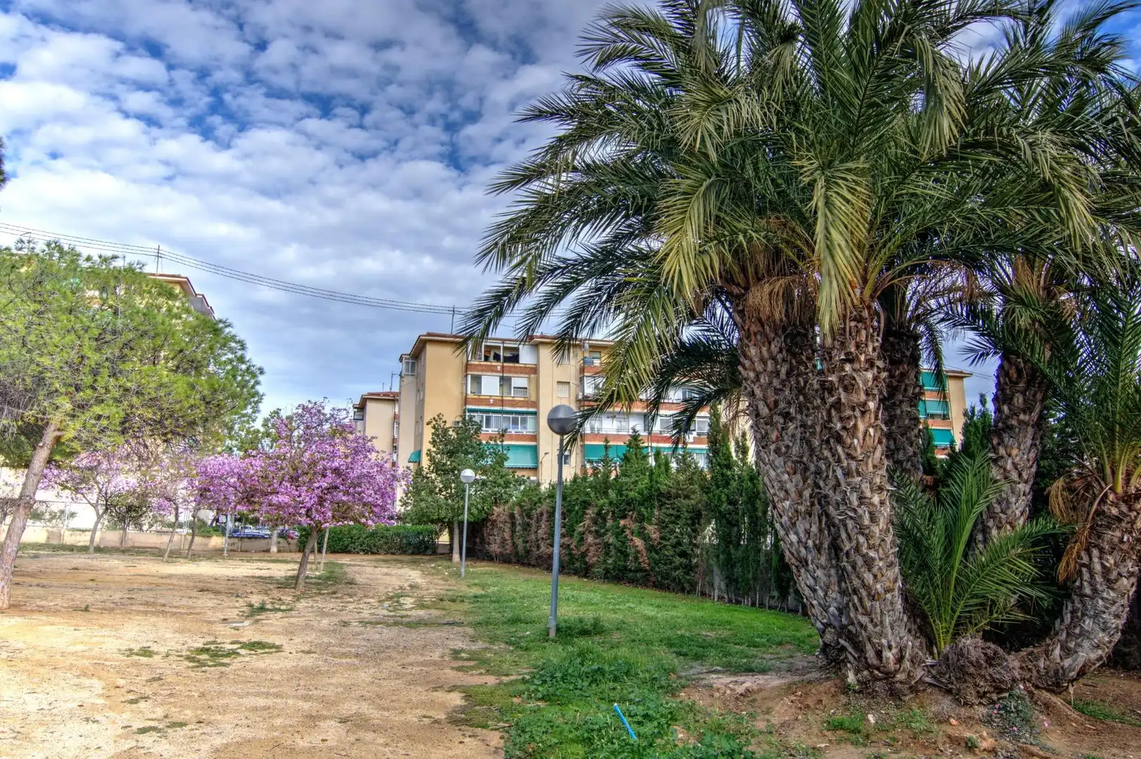 Habitació de lloguer, Alacant