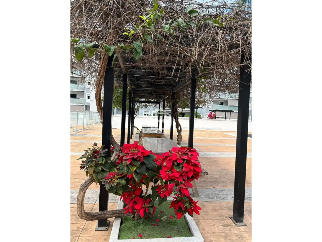 Appartamento 60 m² a San Cristóbal de La Laguna