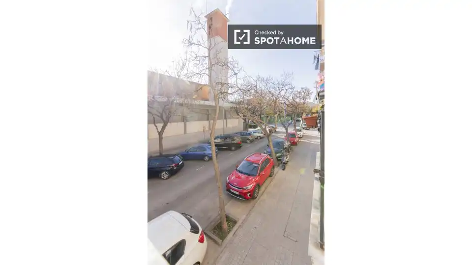 Stanza in affitto, Valencia