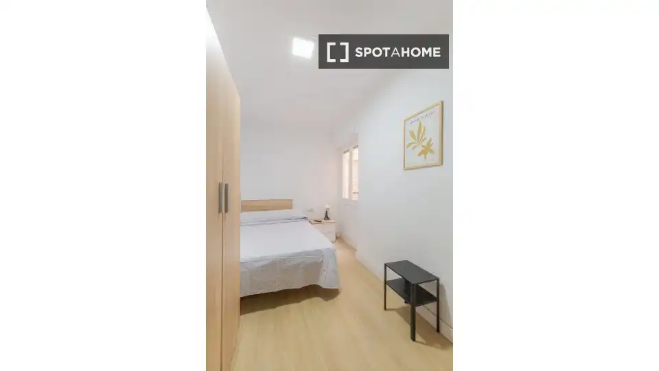 Habitació de lloguer, Elx