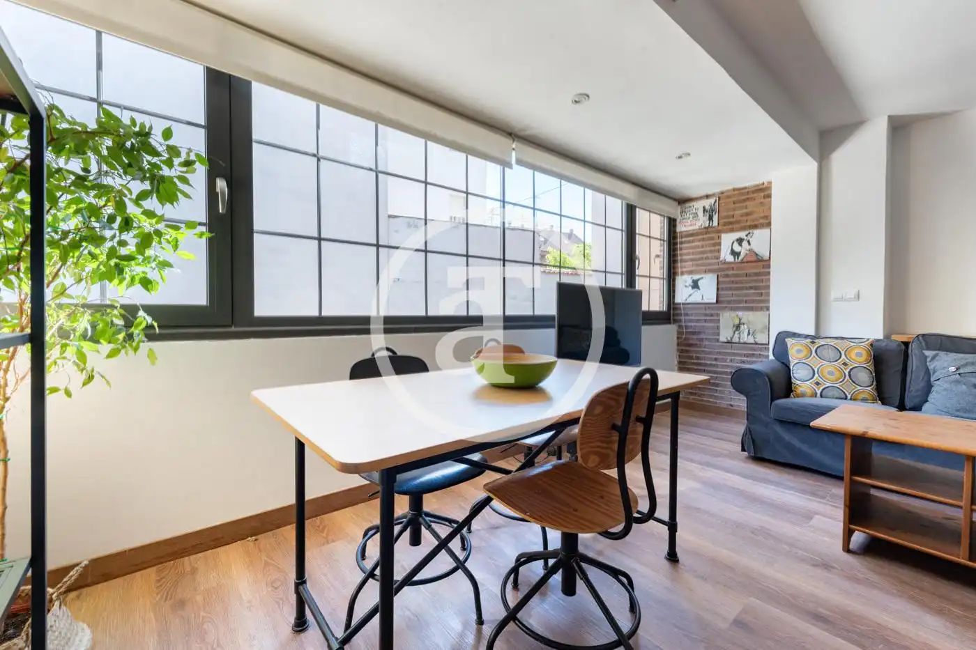 Pis de 49 m² a Madrid