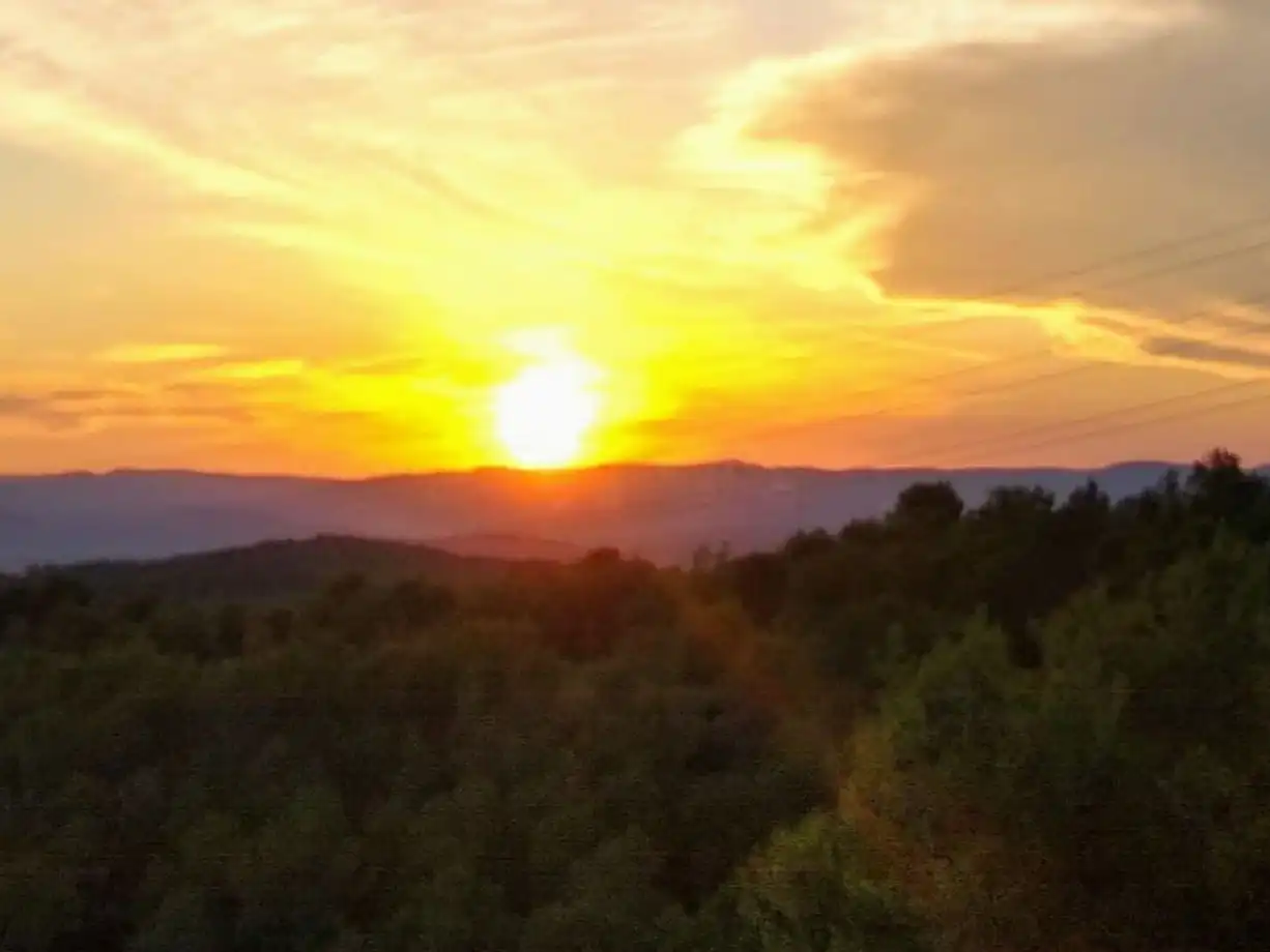 Stanza in affitto, Olivella