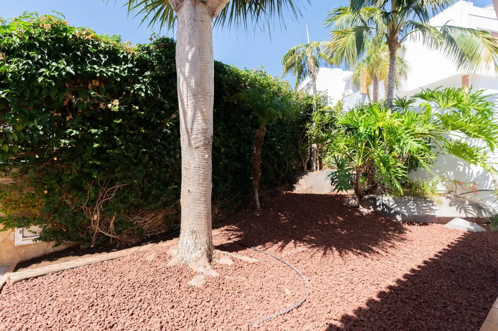 Maison 365 m² à El Rosario