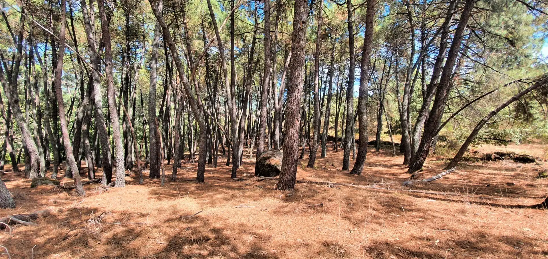 Pis de 57 m² a Lleida