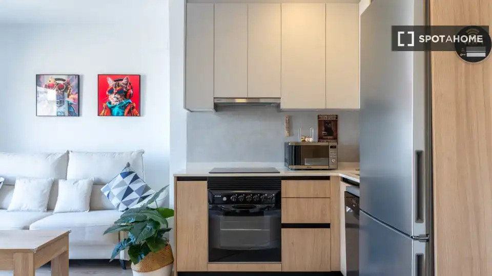 Habitación 31 m², Elche