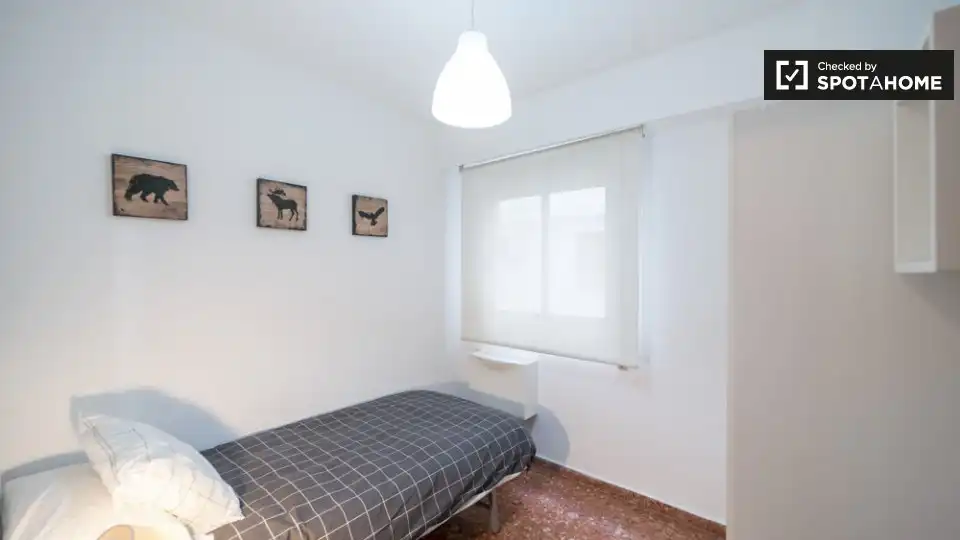 Stanza in affitto, Valencia
