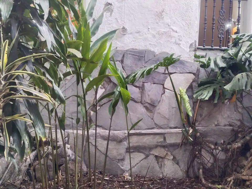 Piso de 230 m² en La Orotava