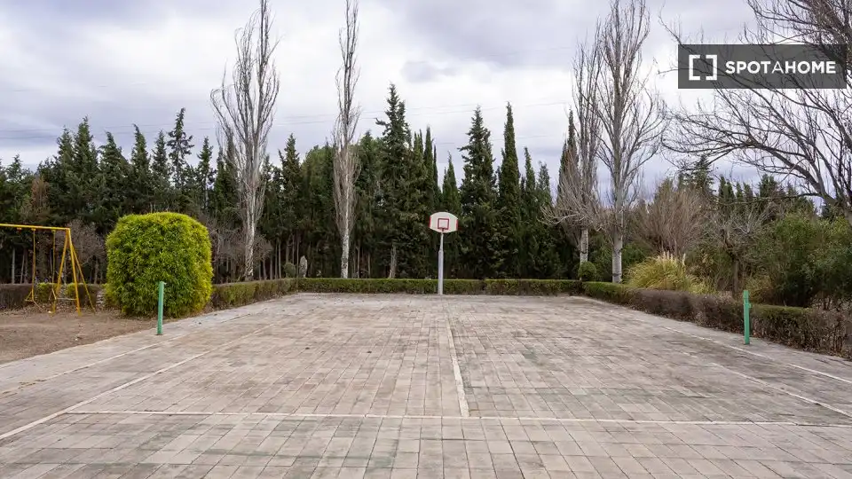 Habitació de lloguer, Villena