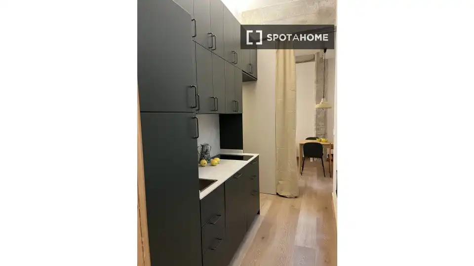 Habitación 46 m², Bilbao
