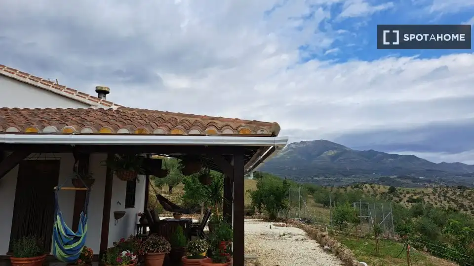 Habitación 127 m², Alozaina