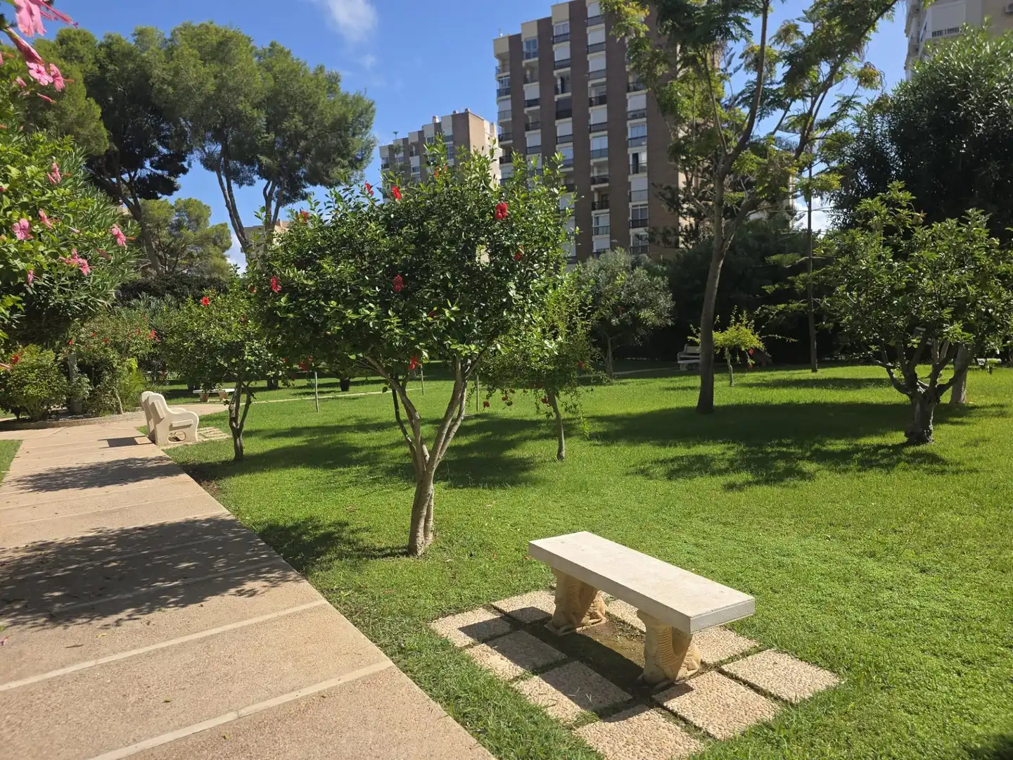 Piso de 40 m² en Orihuela