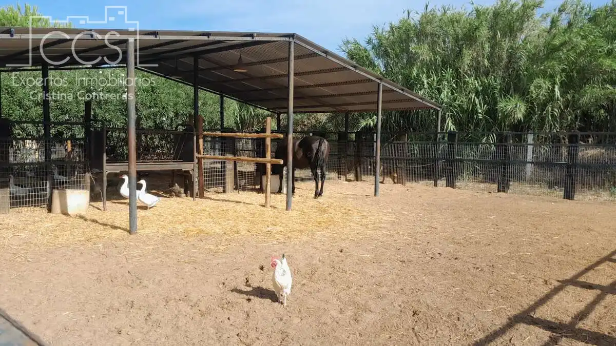 Casa de 100 m² en Almonte