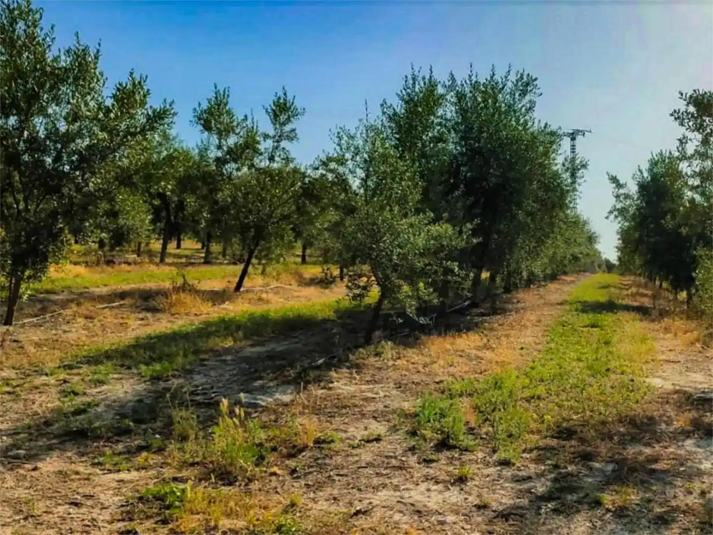 Piso de 560 m² en Alcoy
