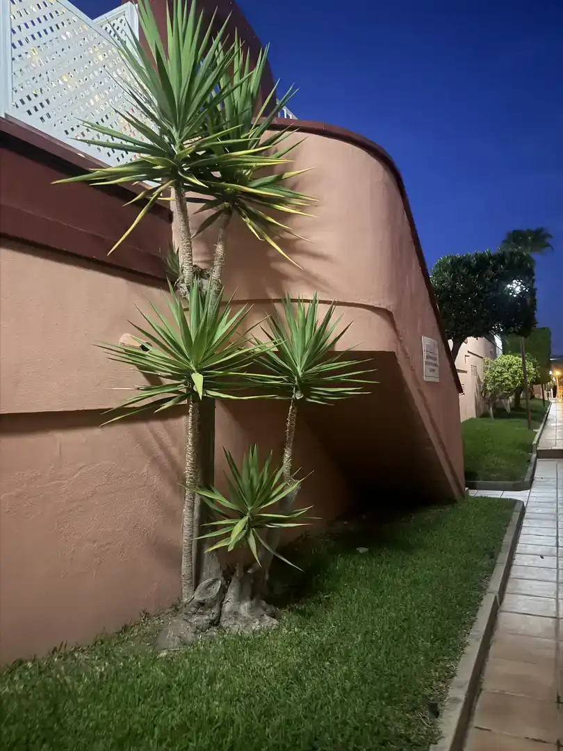 Piso de 75 m² en Mazarrón