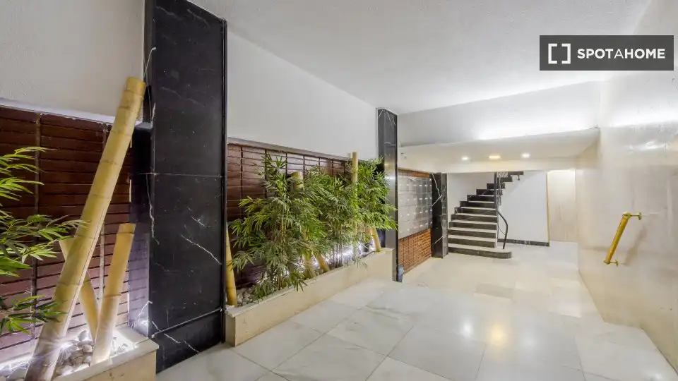 Chambre à louer, Madrid