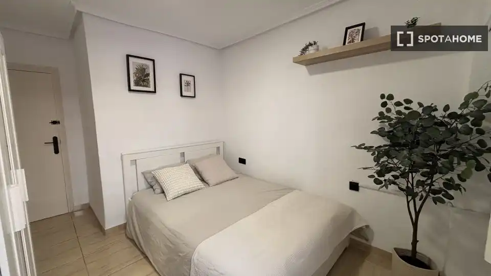 Pis de lloguer, València