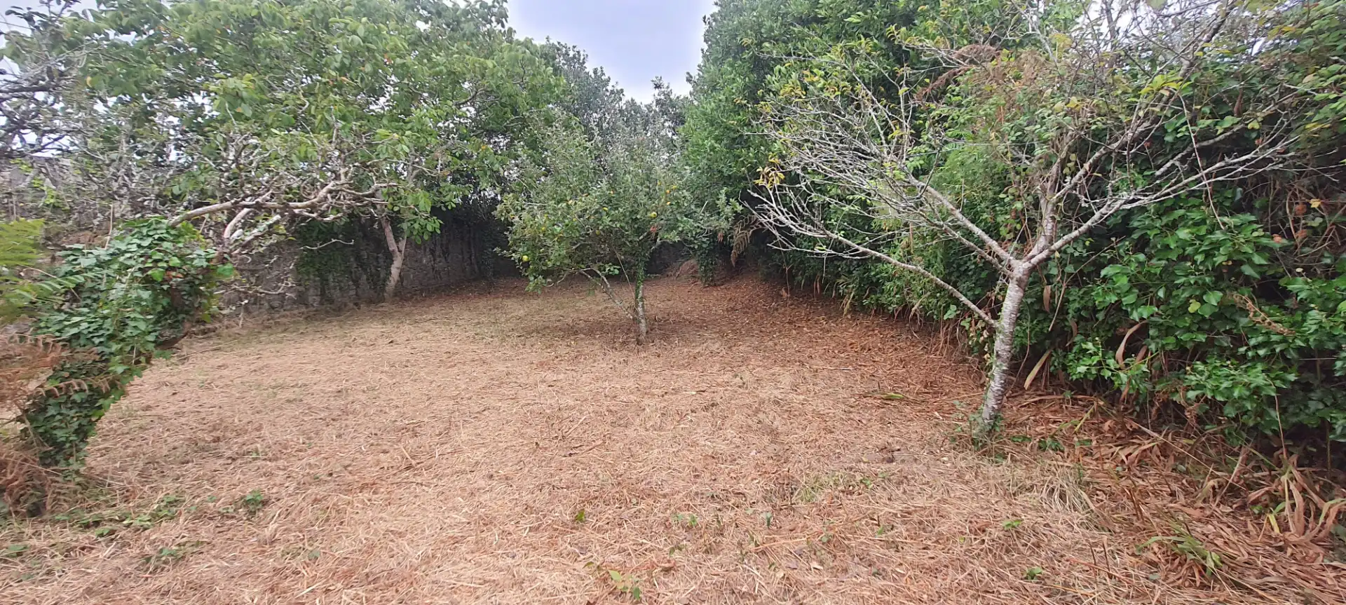 Casa de 280 m² en Ponteceso