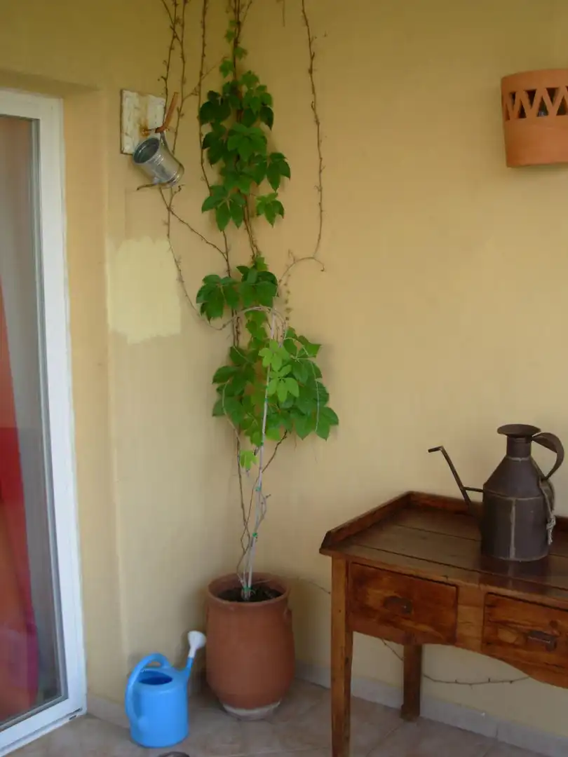 Piso de 60 m² en Isla Cristina