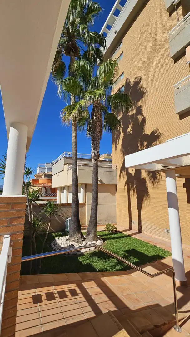 Wohnung 98 m² in Oliva