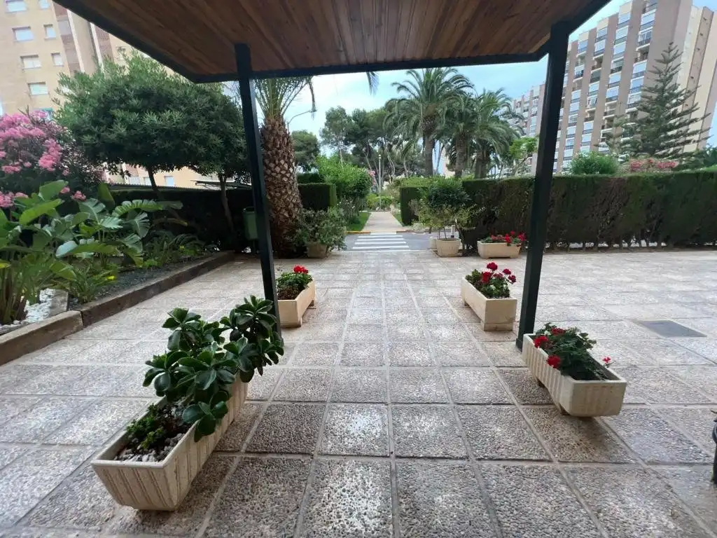 Piso de 40 m² en Orihuela