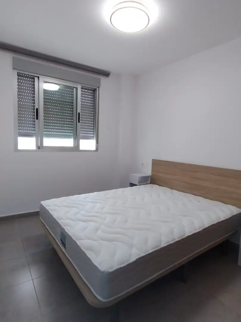 Pis de lloguer, Castelló de la Plana