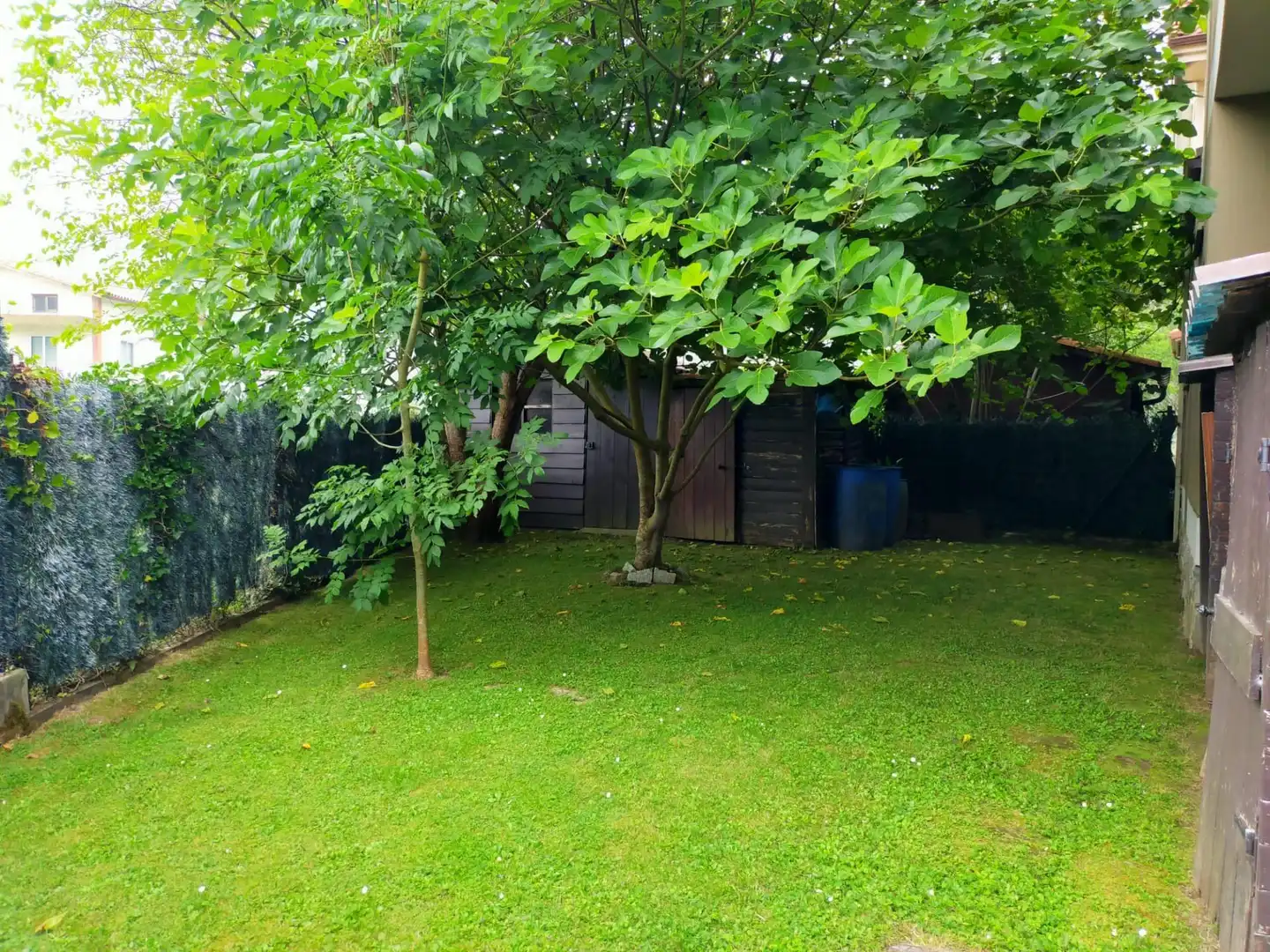 Appartamento 175 m² a Liendo