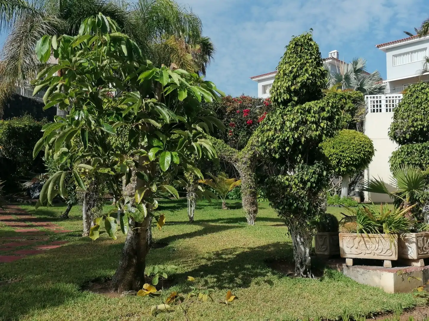Pis de 115 m² a Puerto de la Cruz