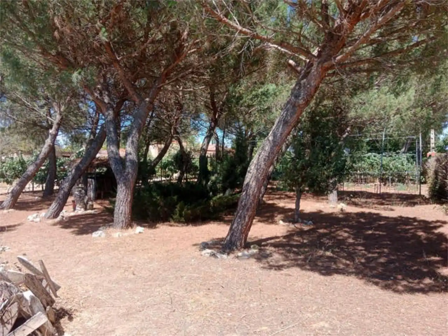 Casa de 57 m² en Aranda de Duero