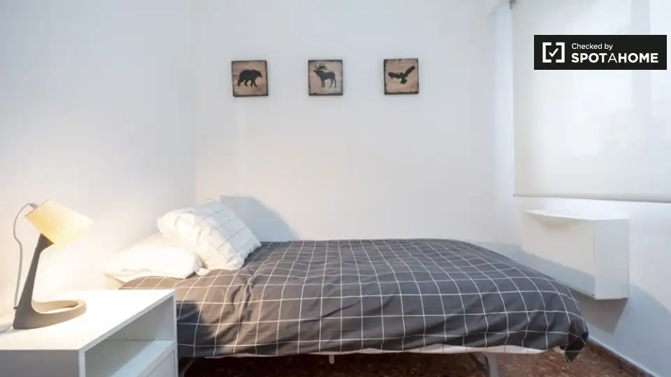 Stanza in affitto, Valencia