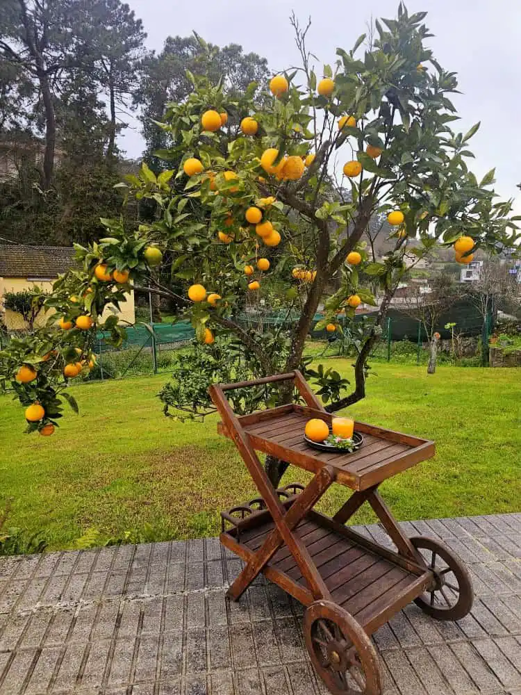 Casa de 300 m² en Cangas de Morrazo