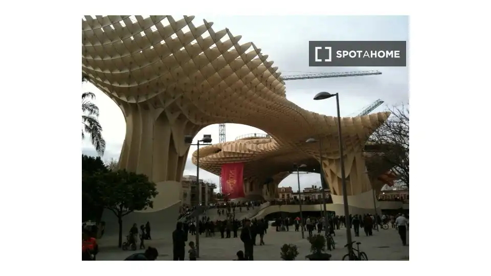 Habitación 63 m², Sevilla