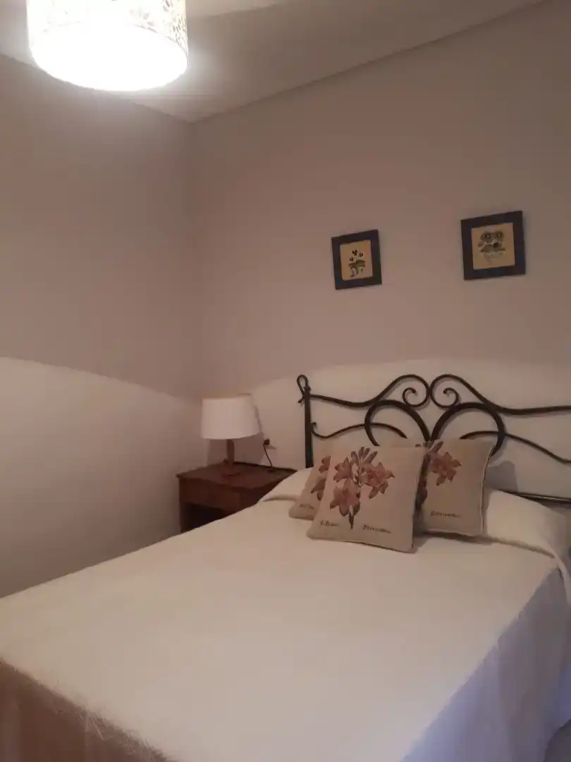 Habitació de lloguer, Zamora