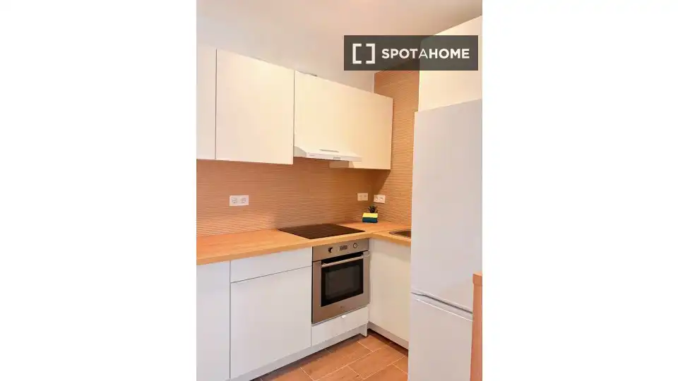 Habitación 58 m², Granada