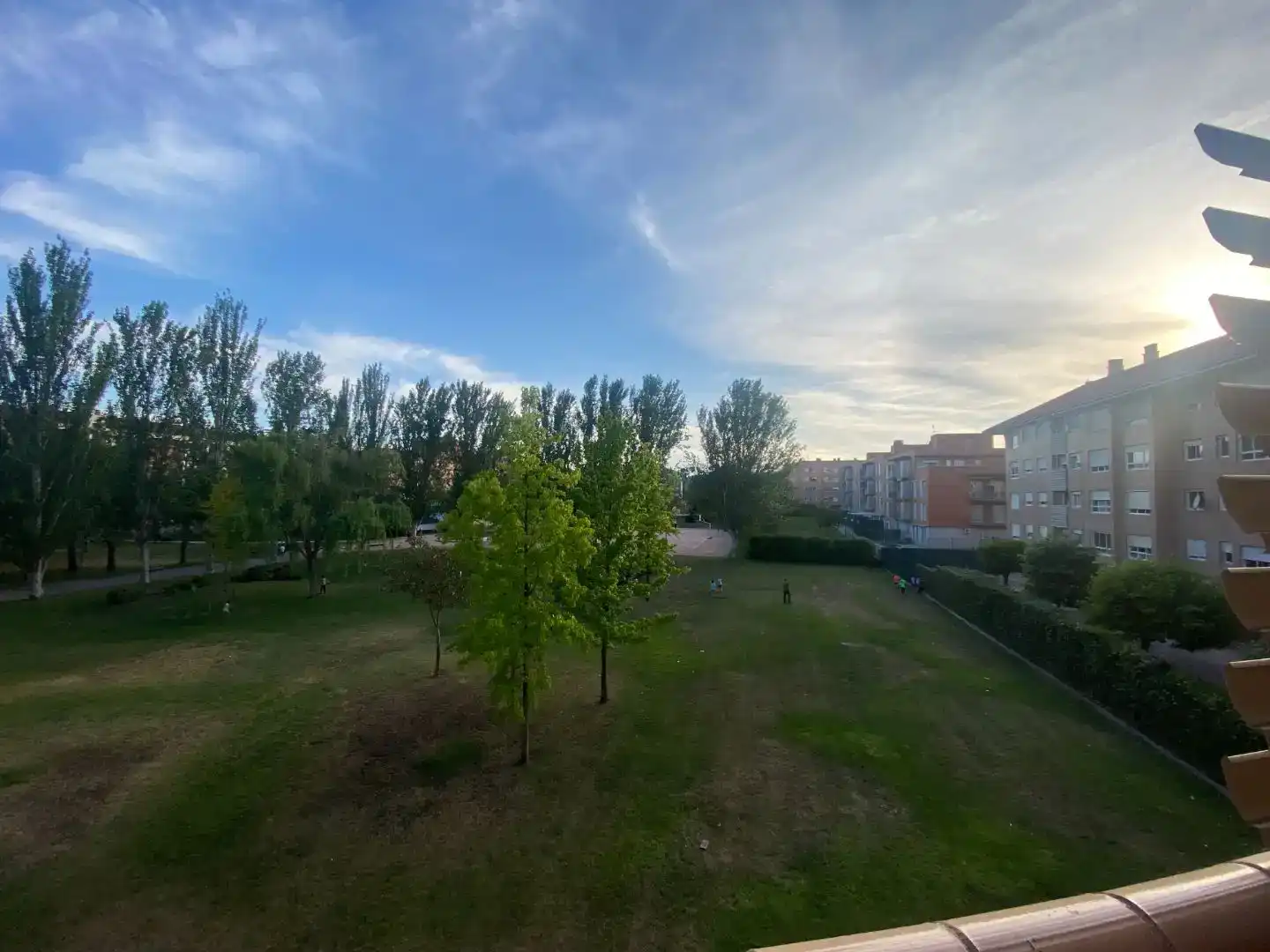 Habitació de lloguer, Logronyo