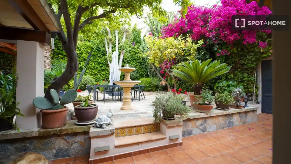Habitación 230 m², Palma